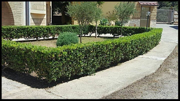 residence poseidon villaggio capo rizzuto capopiccolo calabria vacanze  appartamenti mare crotone