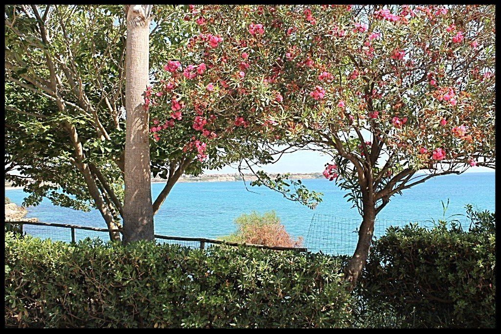 residence poseidon villaggio capo rizzuto capopiccolo calabria vacanze  appartamenti mare crotone