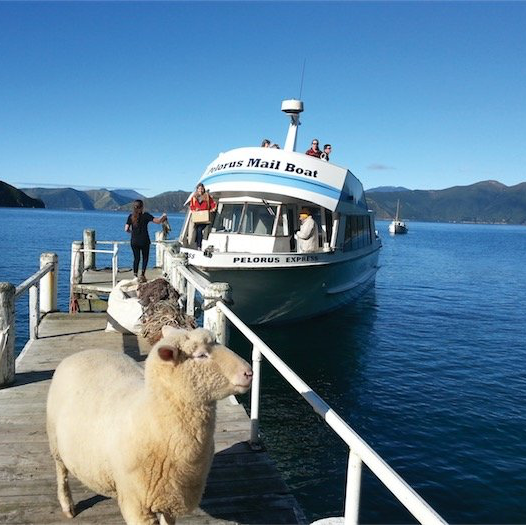 Mailboat Cruise