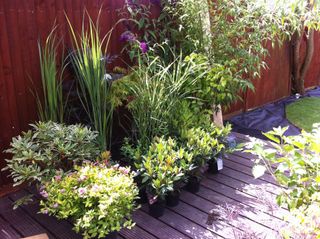 arc with flowerpots around it