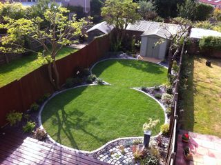 Shrubs and plants