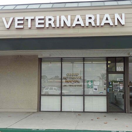 Veterinary Hospital — Front View of the Shop in Oxnord, CA