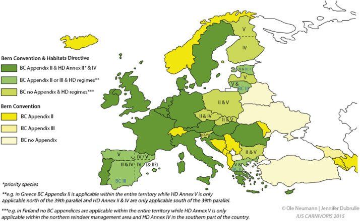 Bild Schutzstatus des Wolfes in Europa © Ole Neumann/Jennifer Dubrulle Bild Schutzstatus des Wolfes in Europa © Ole Neumann/Jennifer Dubrulle