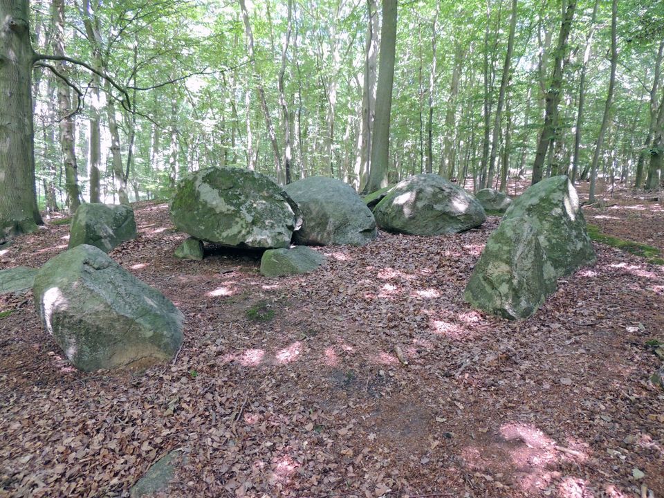 Bild Steingrab Sieben Brüder © Sabine, Rügen