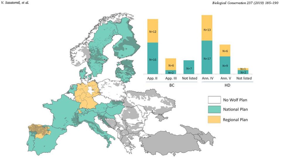 Bild Übersicht über nationale und regionale Pläne zum Schutz des Wolfes Bild Übersicht über nationale und regionale Pläne zum Schutz des Wolfes