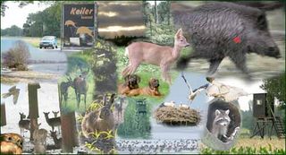 Bild Hegering Gartow © Hegering Gartow Bild Hegering Gartow