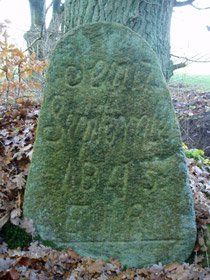 Bild 1 Wolfsstein am Bleckgehege bei Walsrode
