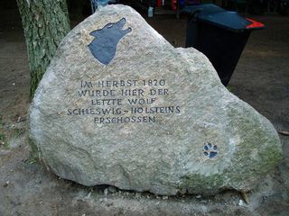 Bild 1 Wolfsstein bei Brokenlande Bild 1 Wolfsstein bei Brokenlande