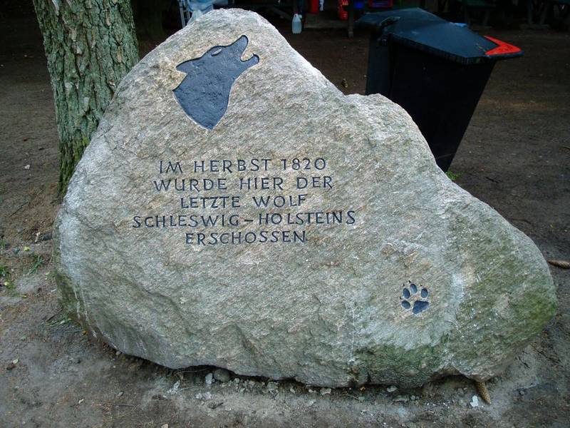 Bild 1 Wolfsstein bei Brokenlande Bild 1 Wolfsstein bei Brokenlande