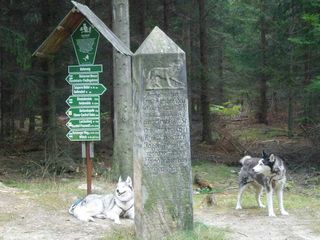 Bild Wolfsstein in der Dippoldiswalder Heide Bild Wolfsstein in der Dippoldiswalder Heide