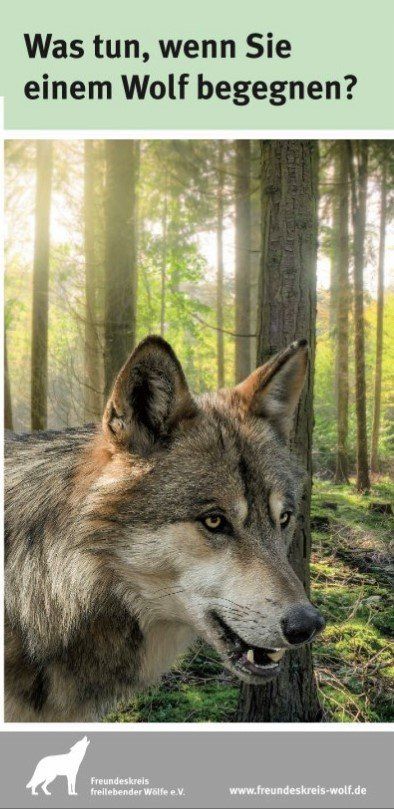 Ansichtsseite Flyer Wolfsbegegnung Ansichtsseite Flyer Wolfsbegegnung