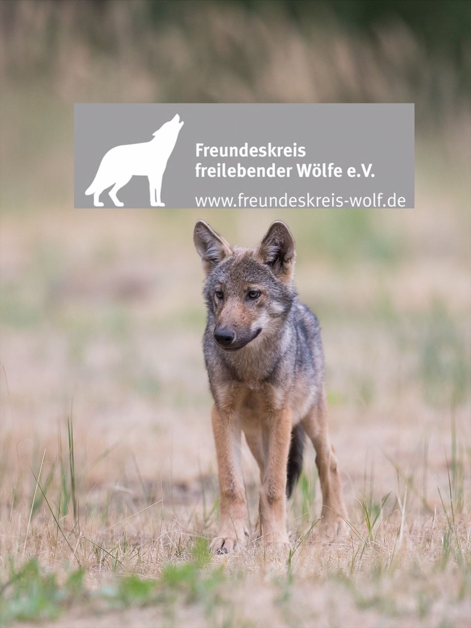 Bild 1 Bericht JHV