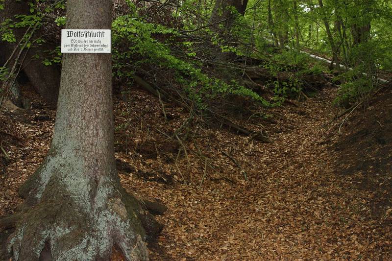 Bild Schild am Ende der Wolfsschlucht