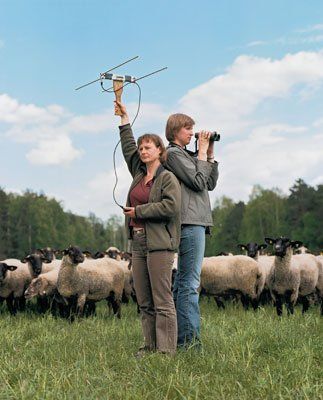 Gesa Kluth/Ilka Reinhardt - Foto © Bettina Flitner Bild Gesa Kluth/ Ilka Reinhardt, Wildbiologisches Büro LUPUS, Spreewitz