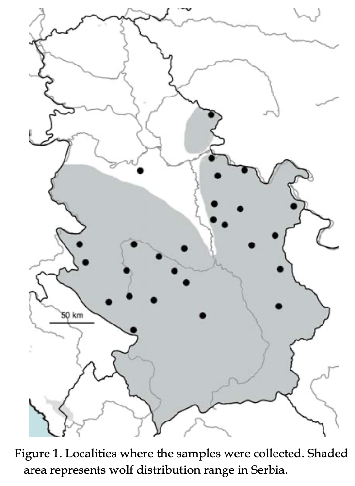 Figure 1. Localities where the samples were collected. Shaded area represents wolf distribution range in Serbia. Figure 1. Localities where the samples were collected. Shaded area represents wolf distribution range in Serbia.