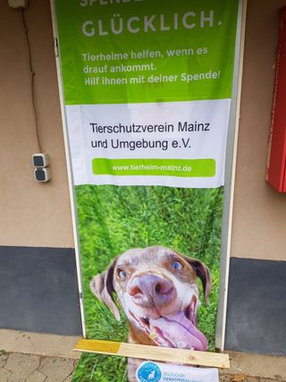 Bild Tierheim Mainz Bild Tierheim Mainz
