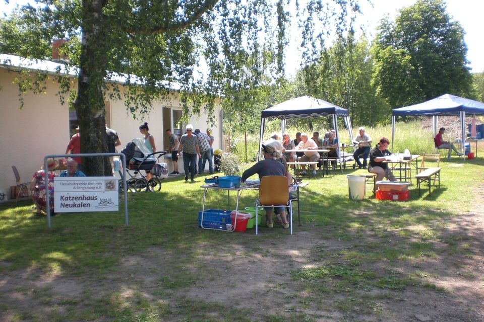 Bild 2 Infostand beim Sommerfest in Neukalen