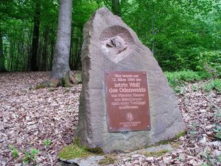 Wolfsstein Odenwald 1 © Jens Hennings Bild Wolfsstein Odenwald 1