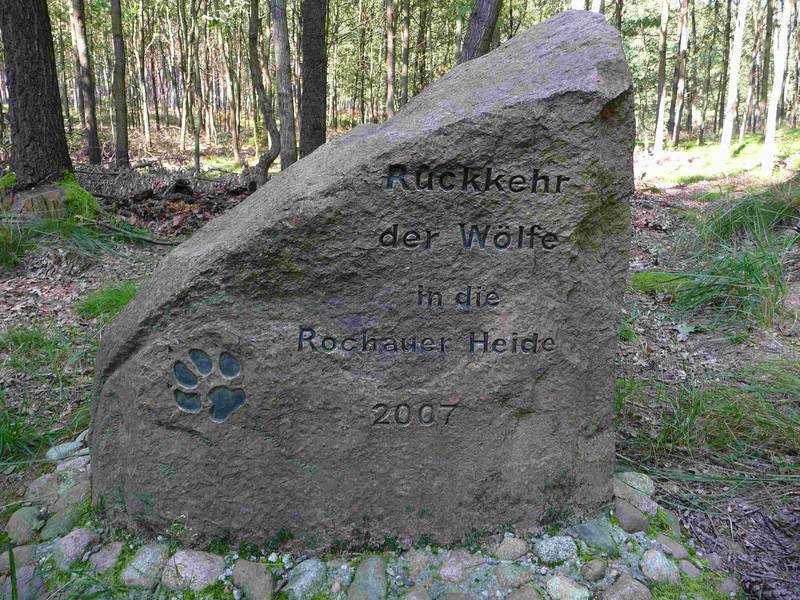 Gedenkstein in der Rochauer Heide © Jens Hennings Bild Gedenkstein Rochauer Heide