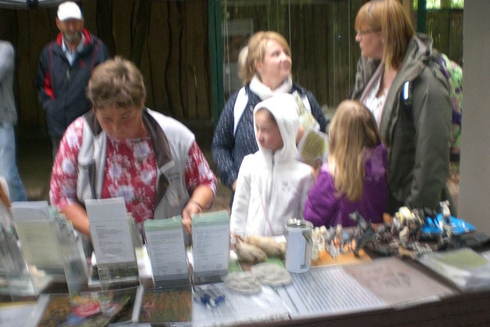 Bild 2 Infostand beim Zoojubiläum in Stralsund