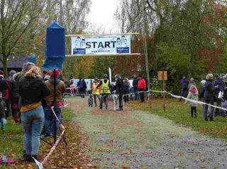 Bild Infostand beim Zughunde-Wagenrennen in Trappenkamp Bild Infostand beim Zughunde-Wagenrennen in Trappenkamp