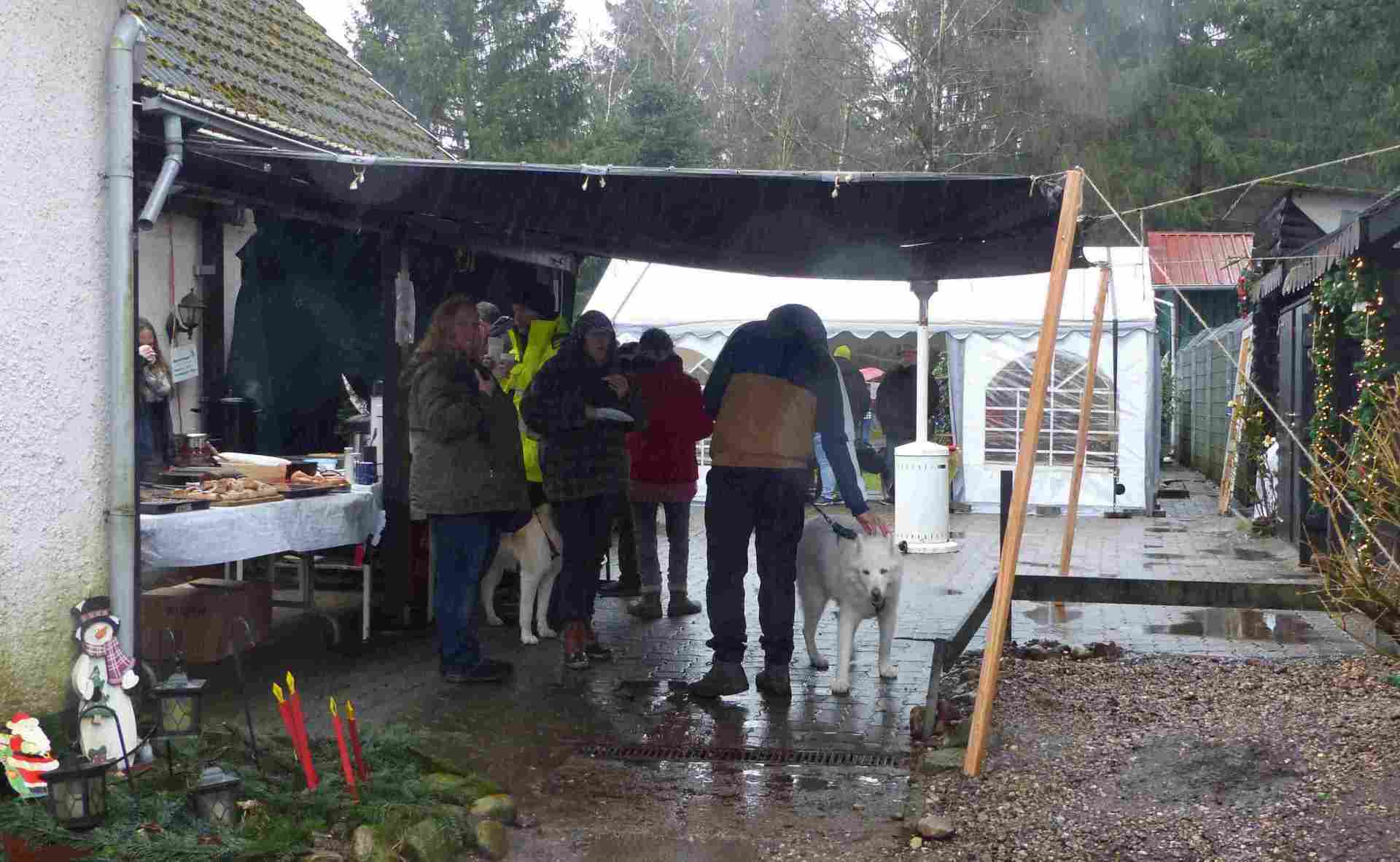 Bild 2 Infostand Waldweihnacht Bild 2 Infostand Waldweihnacht