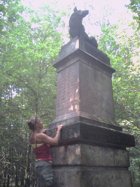 Bild Wolfsdenkmal in Weinböhla Bild Wolfsdenkmal in Weinböhla