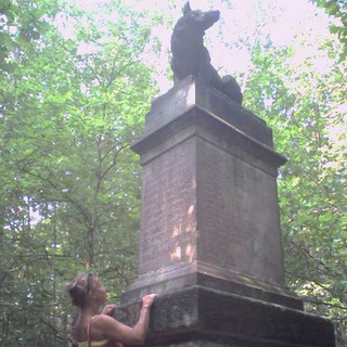 Bild Wolfsstein in der Muskauer Heide Bild Wolfsstein in der Muskauer Heide