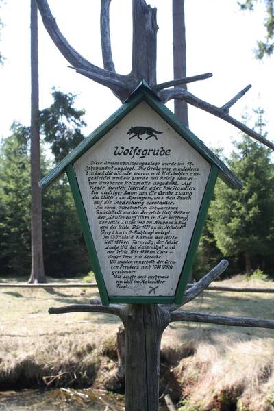 Bild Wolfsfanggrube im Thüringer Wald 1