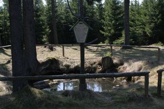 Wolfsfanggrube im Thüringer Wald 2 © Heidrun Krug Bild Wolfsfanggrube im Thüringer Wald 2