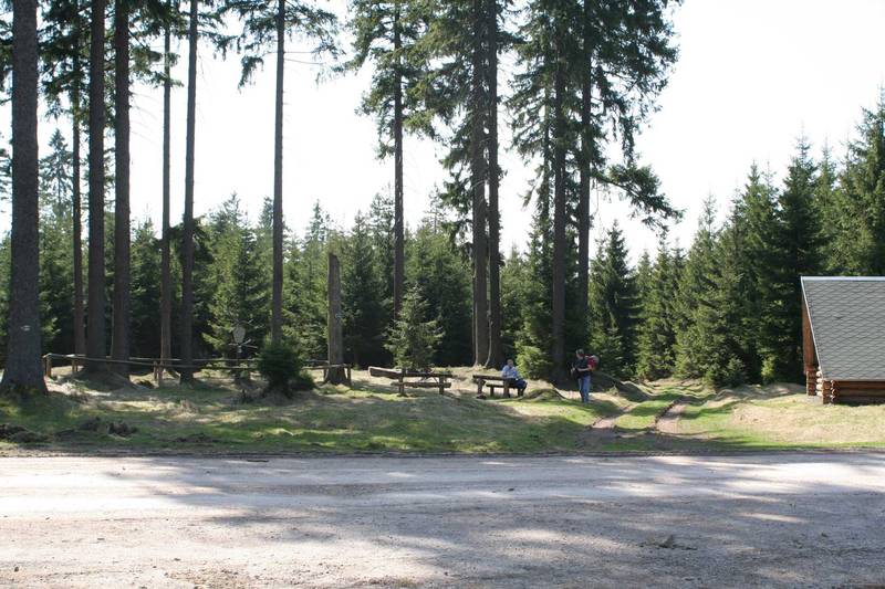 Bild Wolfsfanggrube im Thüringer Wald 3