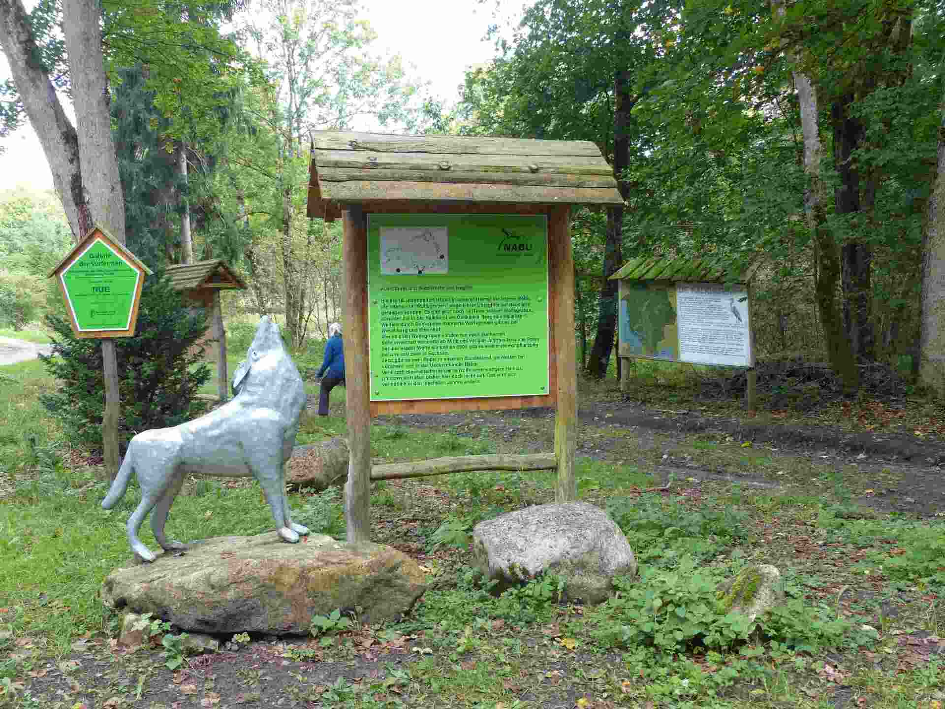Bild 1 Wolfsfanggrube im NSG Kalkhorst © Jens Hennings