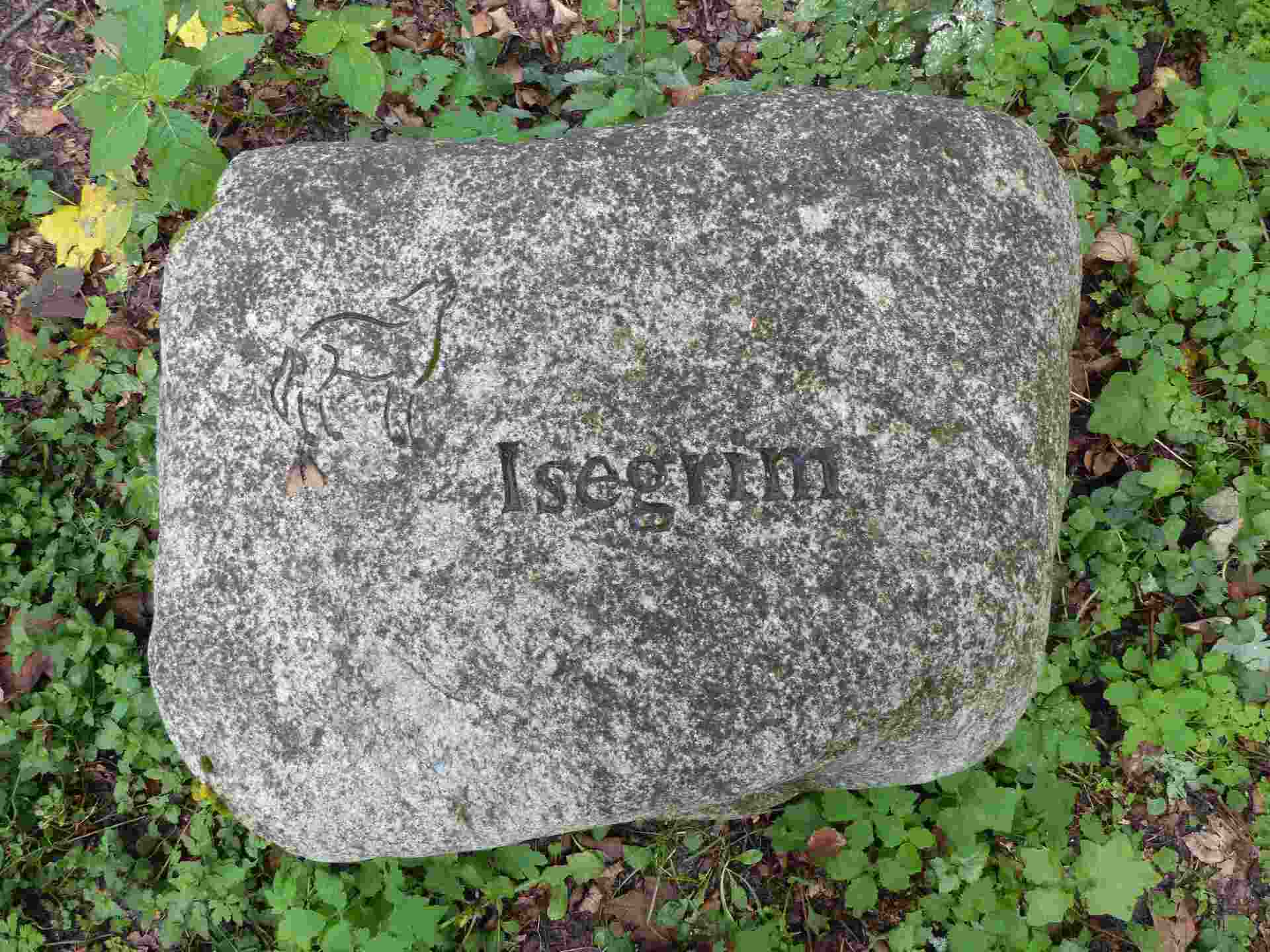 Bild 2 Wolfsfanggrube im NSG Kalkhorst © Jens Hennings