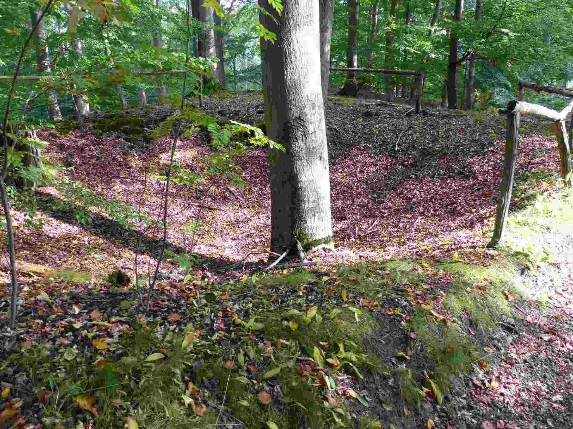 Bild 3 Wolfsfanggrube im NSG Kalkhorst © Jens Hennings