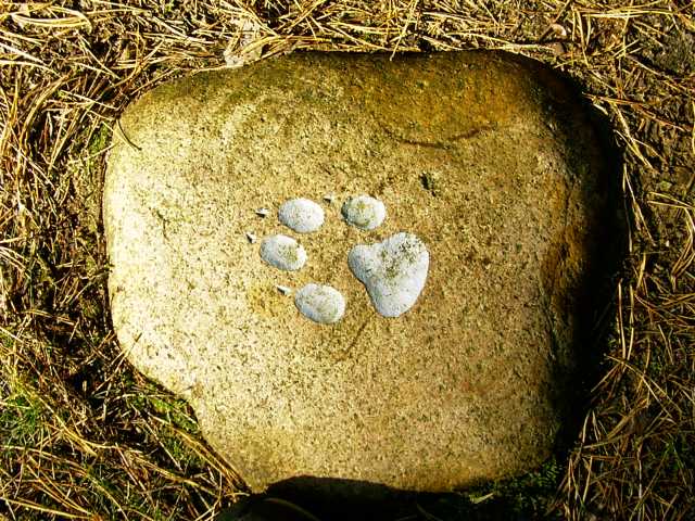 Bild 3 Wolfsfanggrube in Mecklenburg