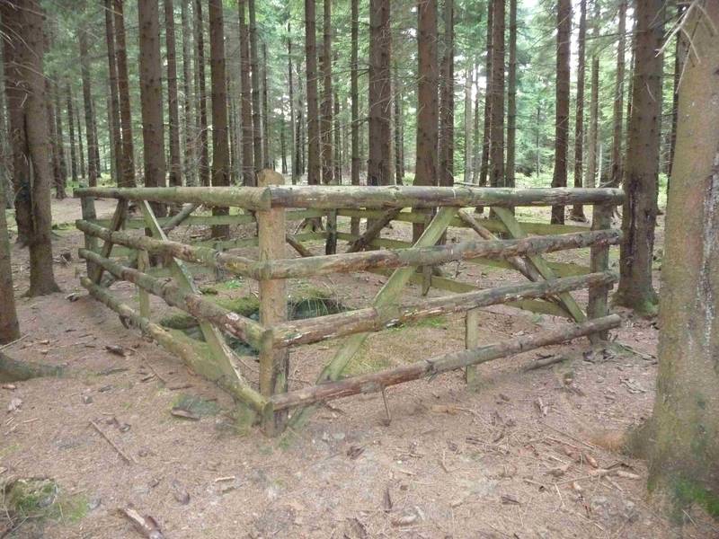 Bild Wolfsgrube im Erzgebirge 4