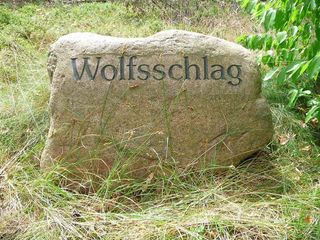 Wolfsschlag Schorfheide 1 © Jens Hennings Bild Wolfsschlag Schorfheide 1