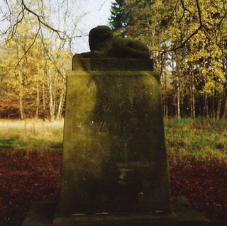 Bild Wolfsstein bei Agnesdorf Bild Wolfsstein bei Agnesdorf