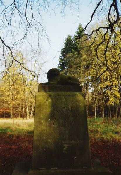 Bild 1 Wolfsstein bei Agnesdorf Bild 1 Wolfsstein bei Agnesdorf