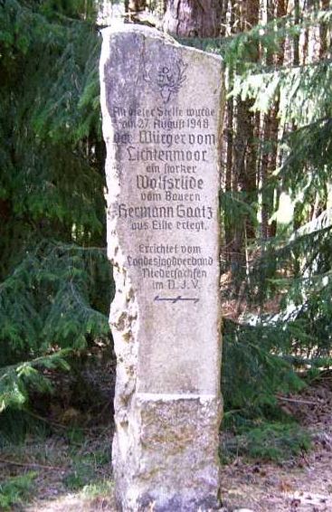 Bild Wolfsstein Würger vom Lichtenmoor