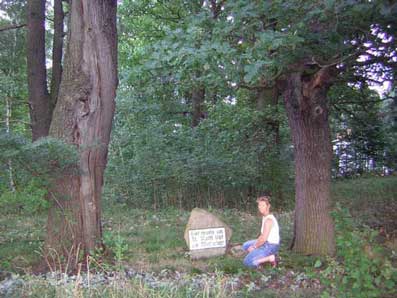 Bild 1 Wolfsstein an der B96 Bild 1 Wolfsstein an der B96