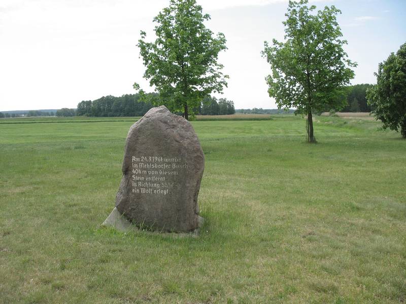 Wolfsstein bei Mehlsdorf 1 © Katrin Heinrich Bild Wolfsstein bei Mehlsdorf 1