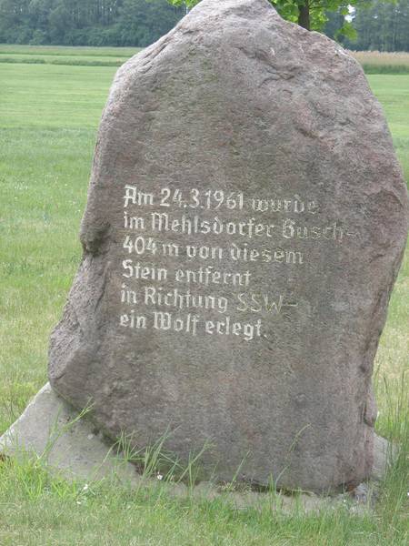 Wolfsstein bei Mehlsdorf 2 © Katrin Heinrich Bild Wolfsstein bei Mehlsdorf 2