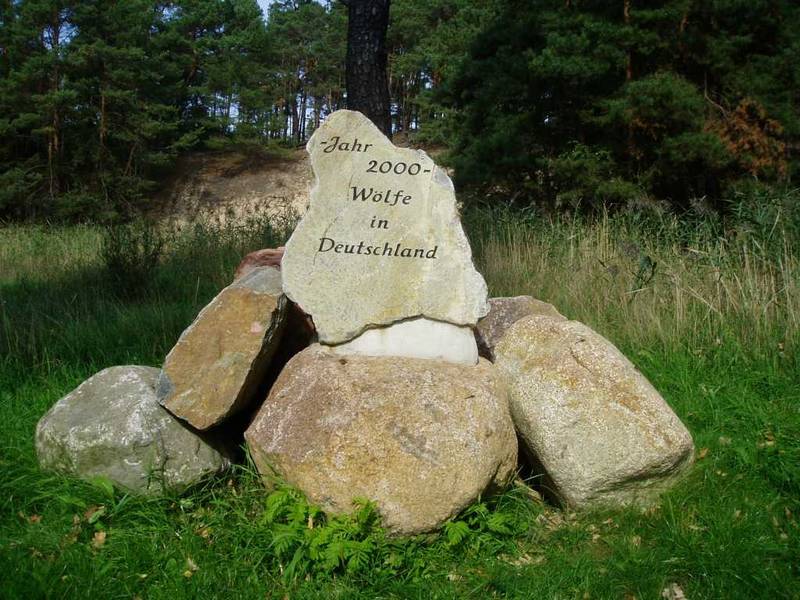 Bild Wolfsstein in der Muskauer Heide Bild Wolfsstein in der Muskauer Heide