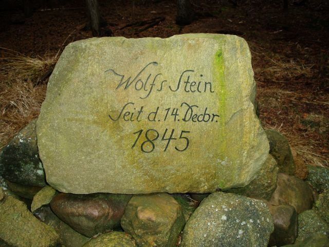 Bild 3 Wolfsstein im Nochtener Forst bei Weißwasser Bild 3 Wolfsstein im Nochtener Forst bei Weißwasser