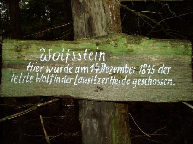 Bild 4 Wolfsstein im Nochtener Forst bei Weißwasser Bild 4 Wolfsstein im Nochtener Forst bei Weißwasser