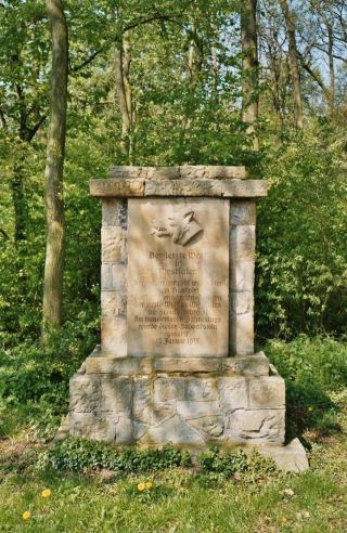 Bild Wolfsstein bei Ascheberg Bild Wolfsstein bei Ascheberg