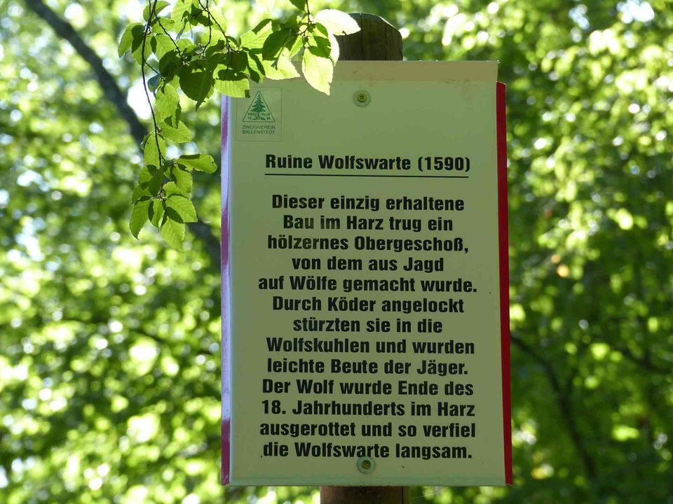 Bild 1 Wolfswarte bei Mägdesprung im Harz © Jens Hennings