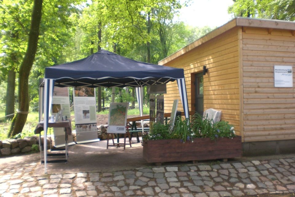 Bild 1 Infostand im Tierpark Wollgast
