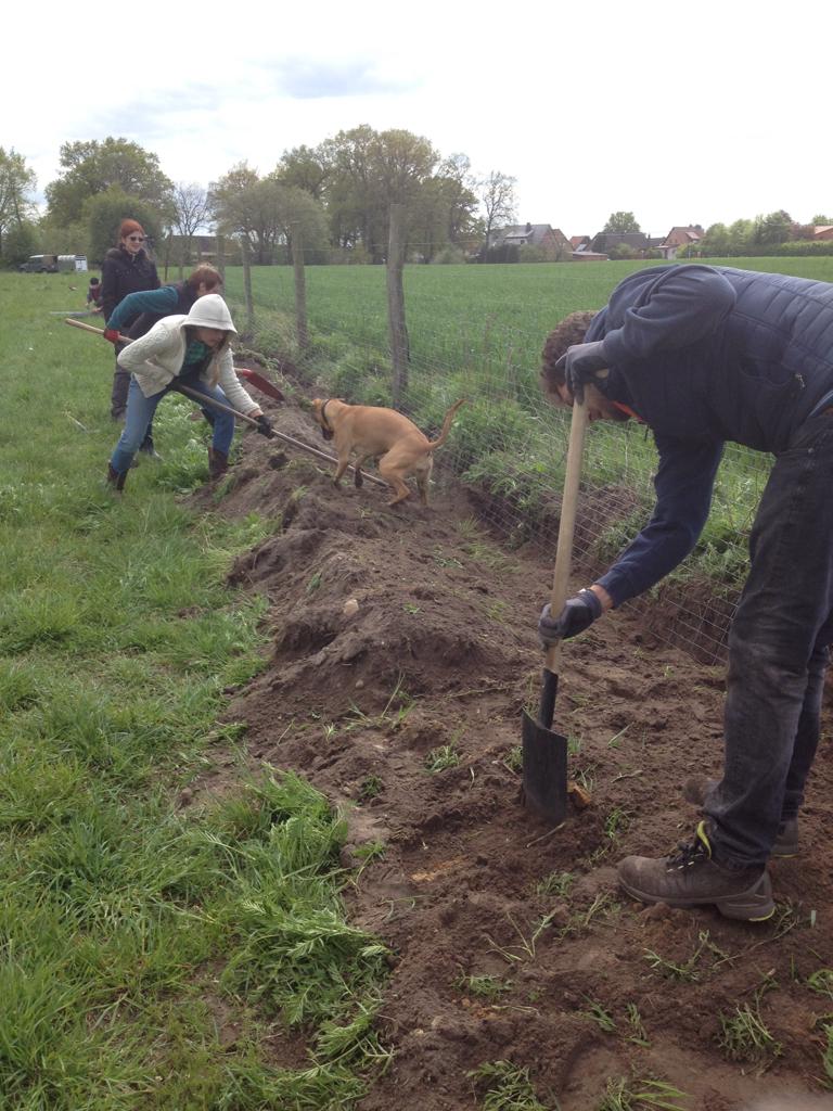 Unsere fleissigen Helfer bekamen Unterstützung beim Verfüllen des Grabens Bild 4 Zaunbau in Tappenbeck